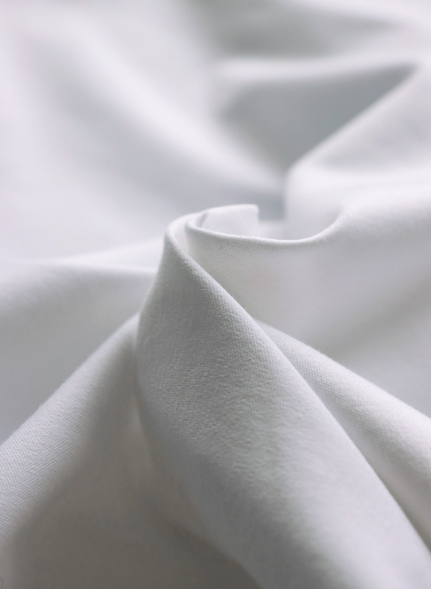 OWNth(オンス) ステッチデザインロゴTシャツ きれいめ レディース 生地感